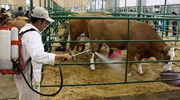 عنوان مورد نظر در این قسمت